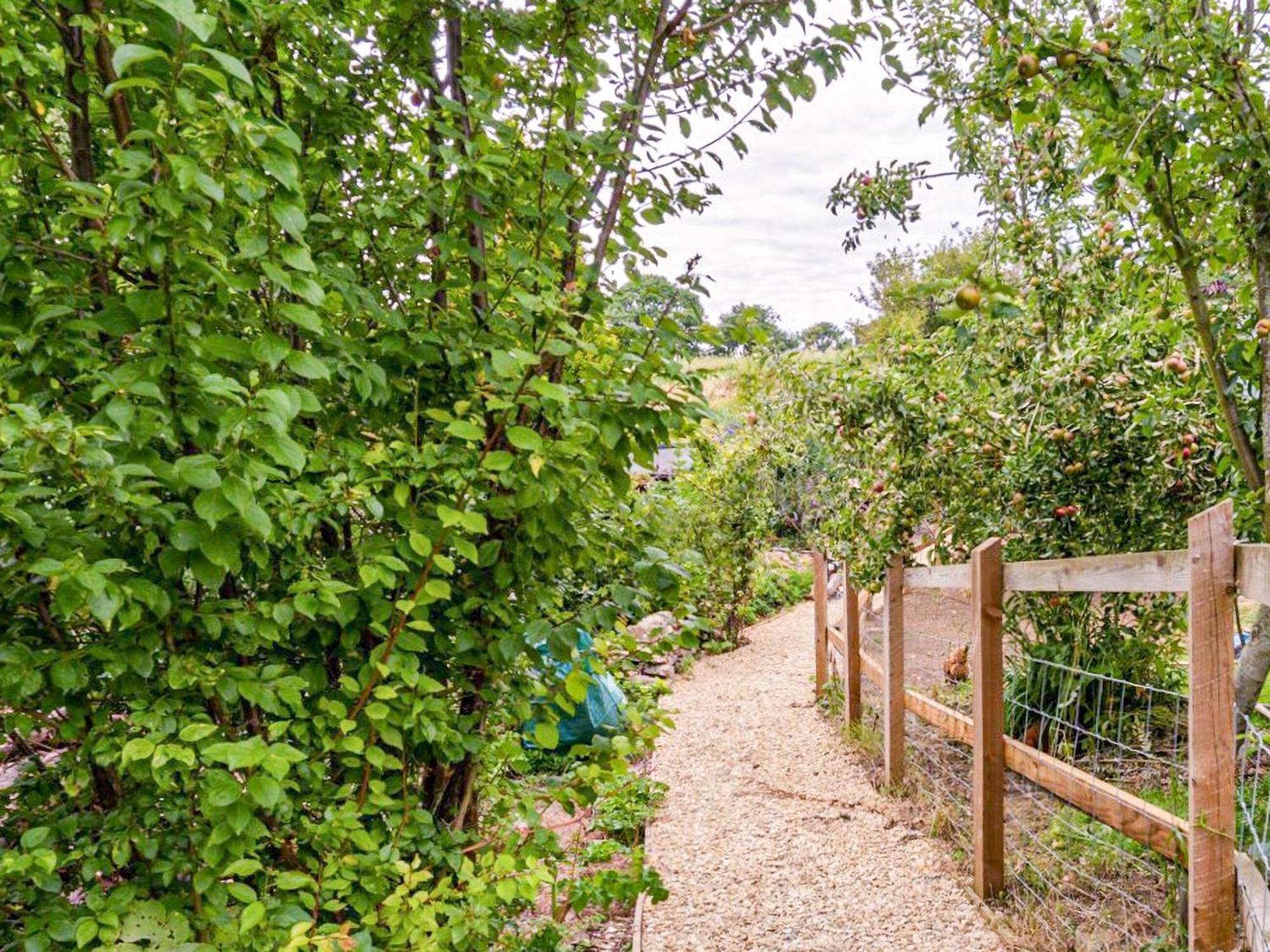 Fig Tree Shepherds Hut Bridport Exterior photo